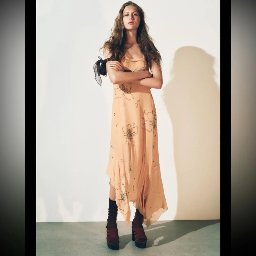 Zara ZW collection embroidered beaded dress - Picture 2 of 15